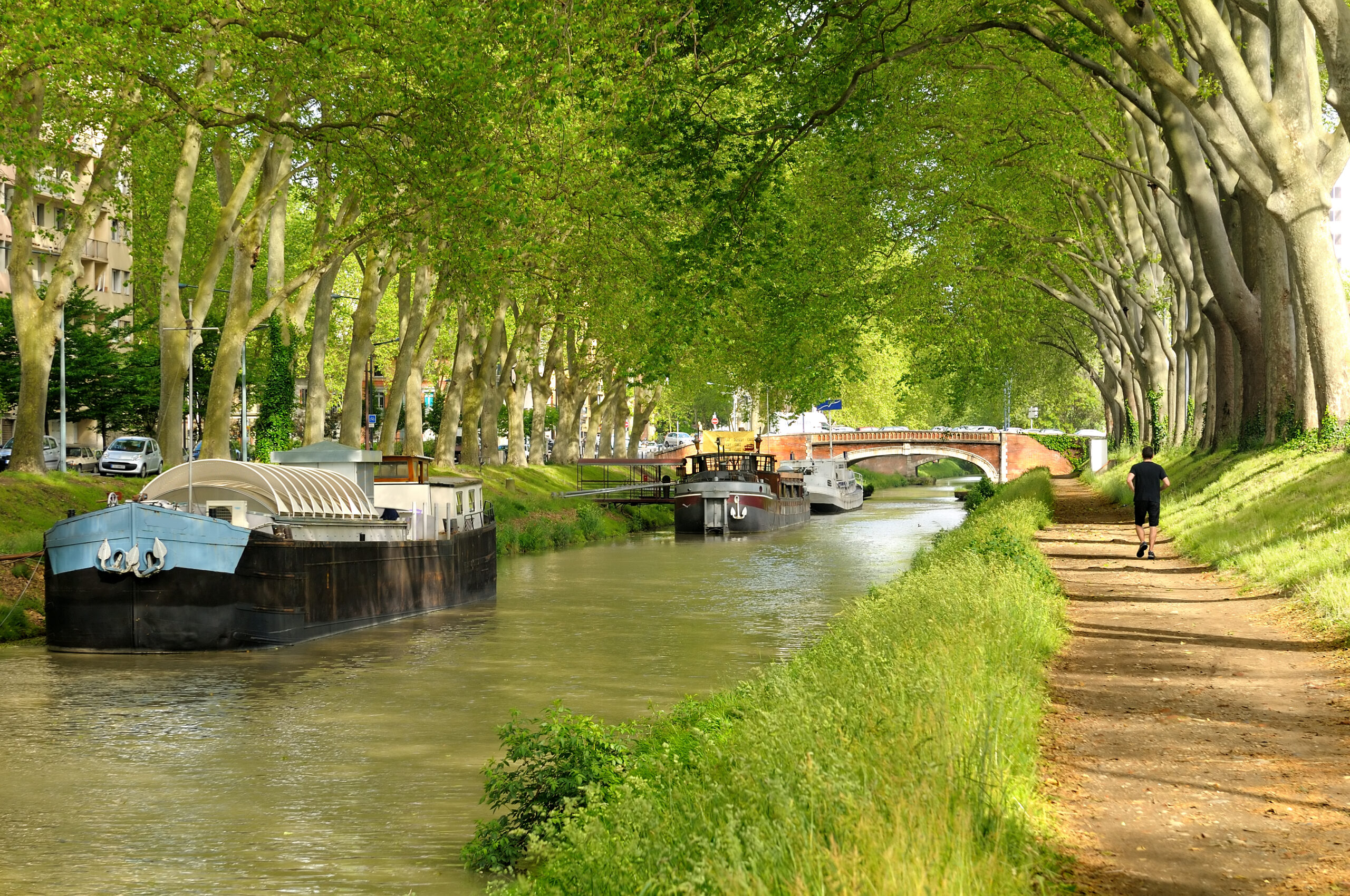 The,Canal,Of,Midi,In,French.